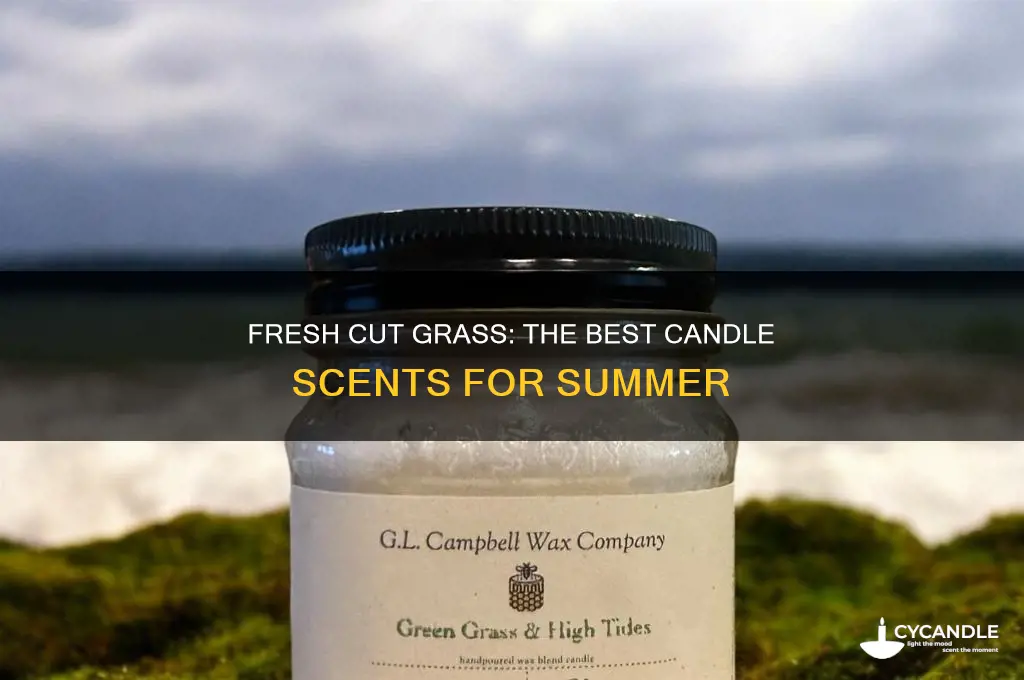 which candle smells like green grass