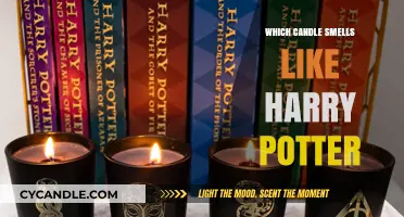 Harry Potter-Inspired Candles: Magical Scents for Muggles