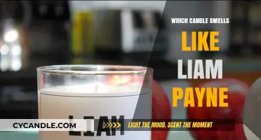 Finding the Perfect Liam Payne-Inspired Candle Scent