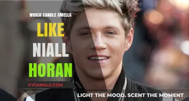 Finding the Perfect Scent for Niall Horan