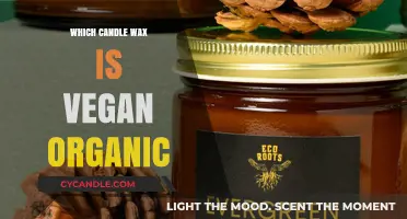 Discover the Best Vegan Organic Candle Wax Options for Eco-Friendly Living