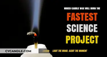Fastest Burning Candle Wax: A Science Project Experiment