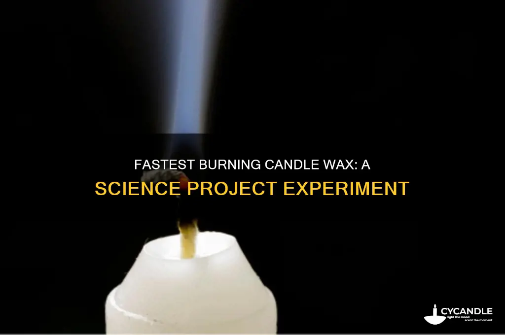 which candle wax will burn the fastest science project