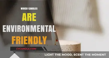 Eco-Friendly Candles: What to Look For