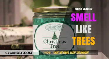 Explore Candles That Bring the Forest's Aroma Indoors