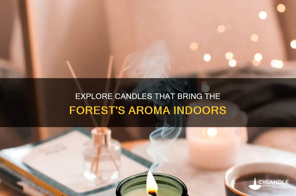 which candles smell like trees