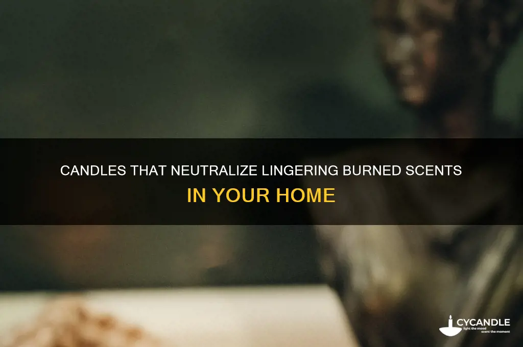 which candles take out burnt smells