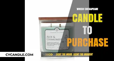 Chesapeake Candles: Which Fragrance is Right for You?