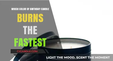 Which Birthday Candle Color Burns Fastest: A Surprising Experiment
