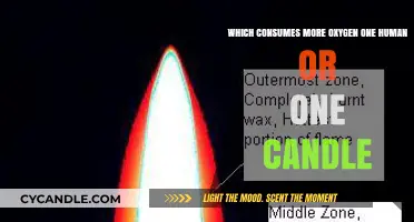 Oxygen Consumption: Human vs. Candle