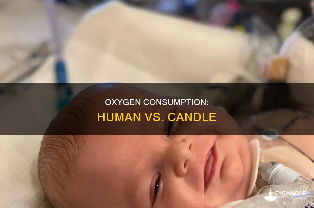 which consumes more oxygen one human or one candle