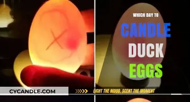 Candling Duck Eggs: The Perfect Day to Begin