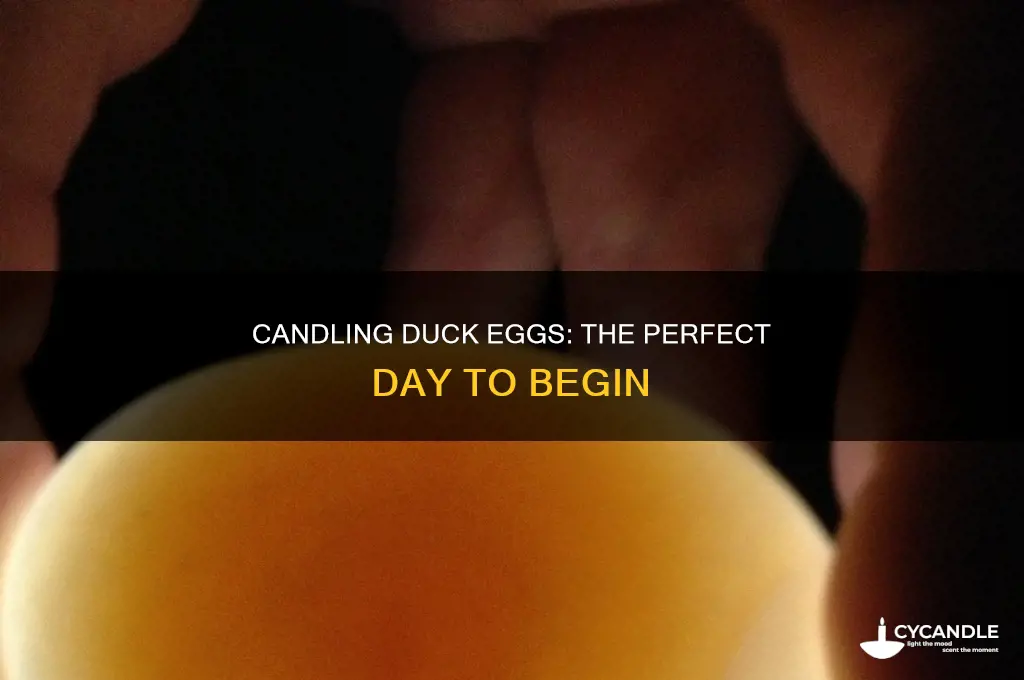 which day to candle duck eggs