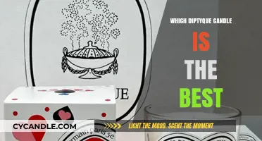 Diptyque Candles: The Best Scents for Your Home