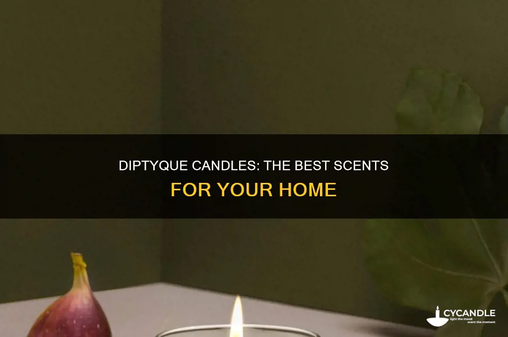 which diptyque candle is the best