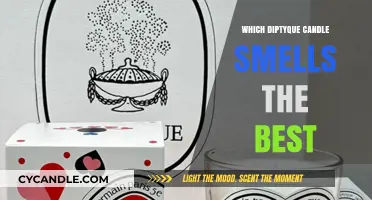 Diptyque Candles: Which Scents Are Worth the Hype?