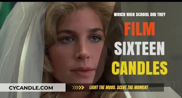 A Classic Rom-Com: The High School Setting of 'Sixteen Candles