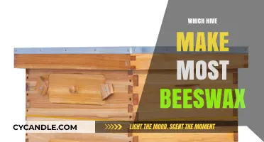 Discovering the Top Hive Types for Maximum Beeswax Production