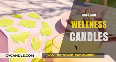 Wellness Candles: Transform Your Home Sanctuary