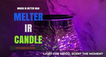 Wax Melter vs. Candle: Which Aromatic Option Suits You Best?