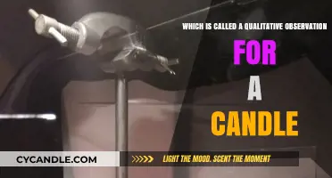 Candle Qualitative Observations: What Do You Notice?