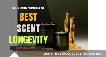 Luxury Candles Compared: Which Brand Offers the Longest-Lasting Scents?