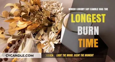 Luxury Soy Candles Compared: Discover the Longest-Burning Option