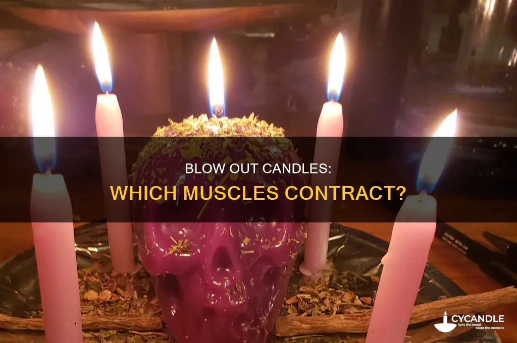which muscles are contracting to blow out the candles