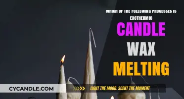 Candle Wax Melting: Understanding the Exothermic Process Explained