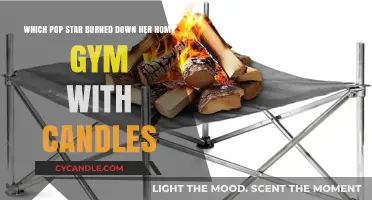 Pop Star’s Home Gym Destroyed by Candle Fire: Who’s Responsible?