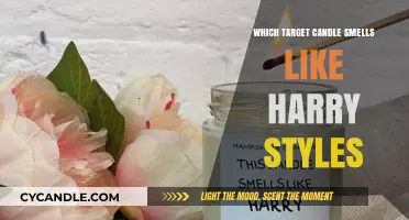 Harry Styles' Favorite Scent: Target Candle Edition