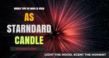Type Ia Supernovae: The Cosmic Standard Candles Illuminating the Universe