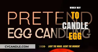Candling Eggs: The Right Way to Do It
