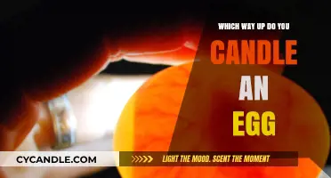 Candling Eggs: How to Position Your Egg Correctly