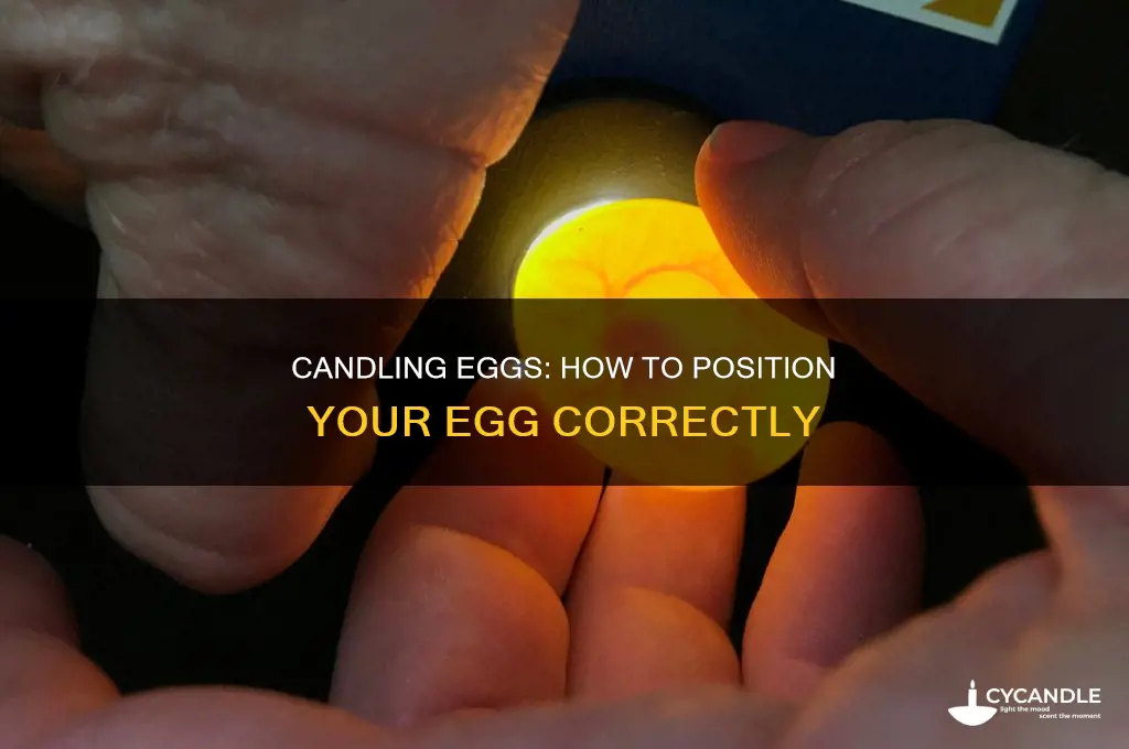 which way up do you candle an egg