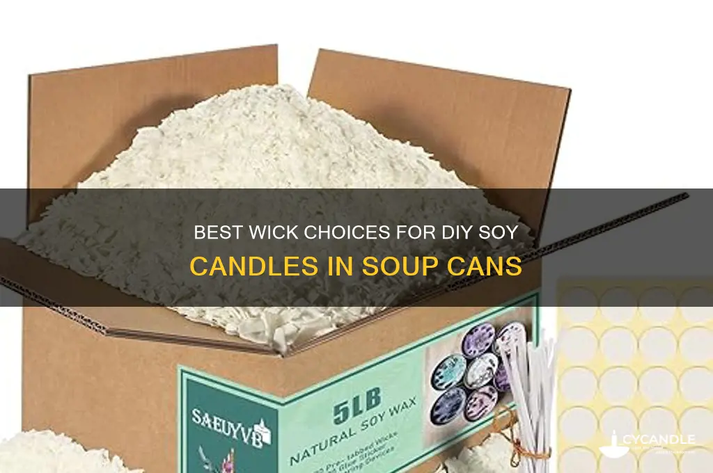which wick for soy candles in soup can