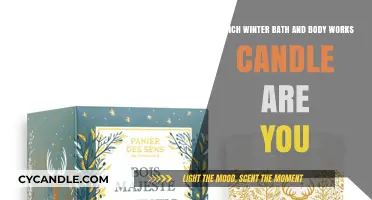Discover Your Winter Scent: Which Bath & Body Works Candle Matches You?