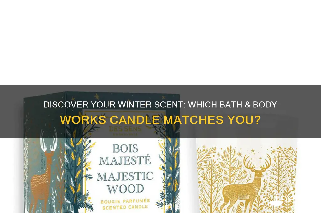 which winter bath and body works candle are you