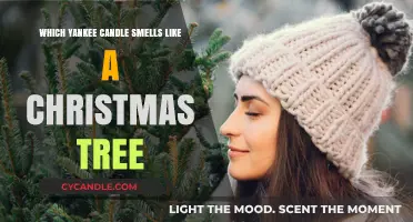 Best Yankee Candle Scents for a Fresh Christmas Tree Aroma