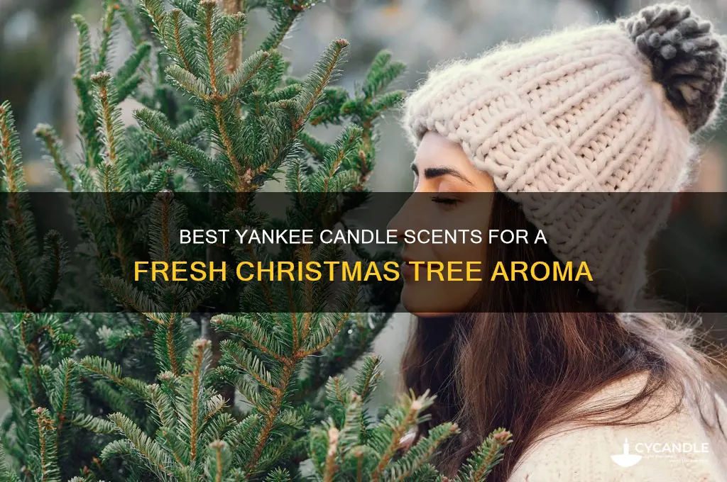which yankee candle smells like a christmas tree