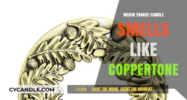 Yankee Candle's Coppertone Scent: A Nostalgic Summer Fragrance Match