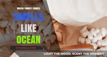 Discover the Yankee Candle That Captures the Ocean's Fresh Scent