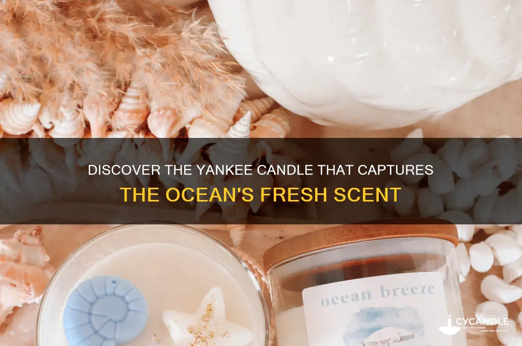 which yankee candle smells like ocean
