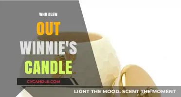 Winnie's Mystery: Who Blew Out the Candle?