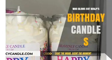 Benjy's Birthday Mystery: Who Extinguished the Flame?