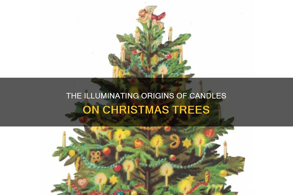who first put lighted candles on a fir tree