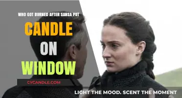 Sansa's Candle Blunder: Unraveling the Aftermath of the Window Incident