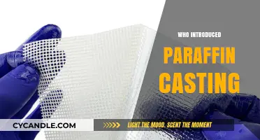 The Revolutionary Introduction of Paraffin Casting in Medical History