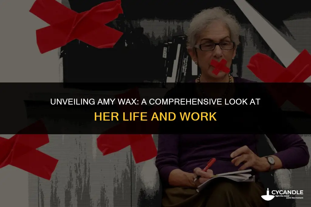 who is amy wax