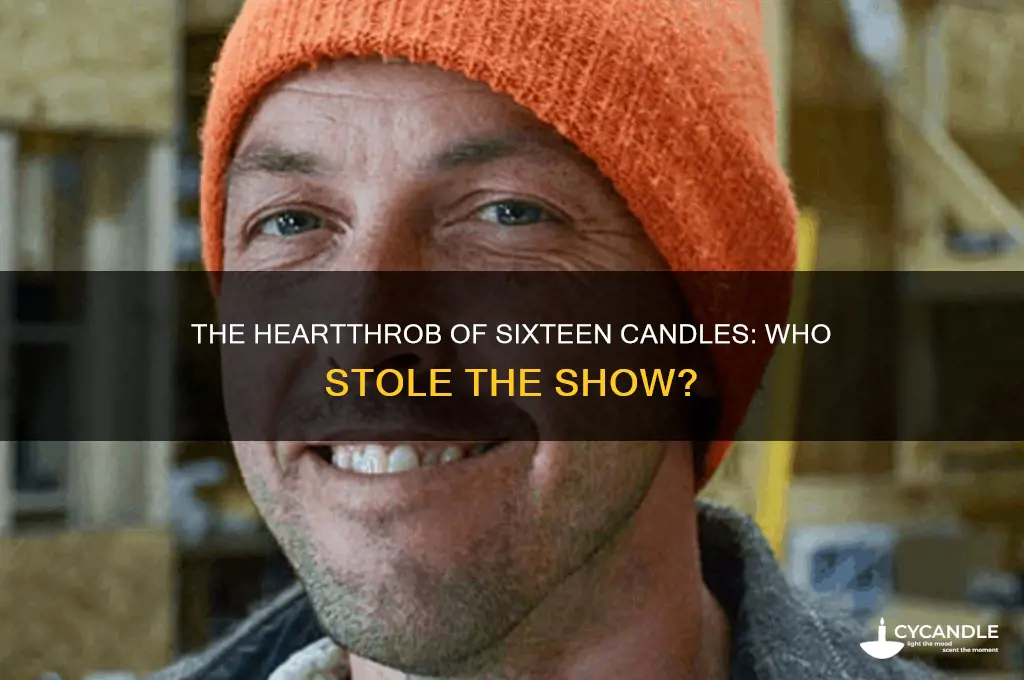 who is handsome male movie star in sixteen candles